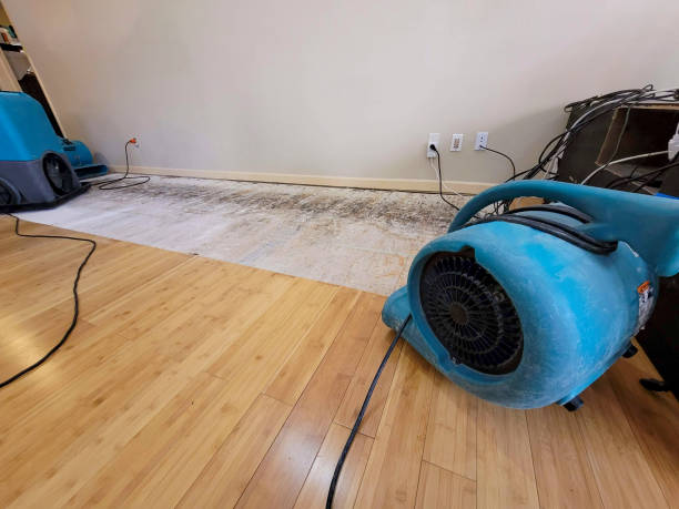 Professional Flood Damage Cleanup technician working in Morristown, IN